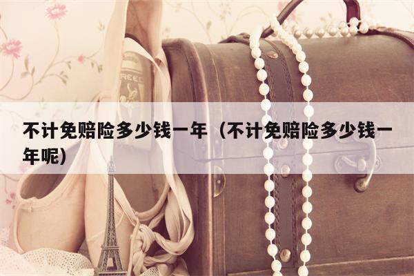 不计免赔险多少钱一年（不计免赔险多少钱一年呢）