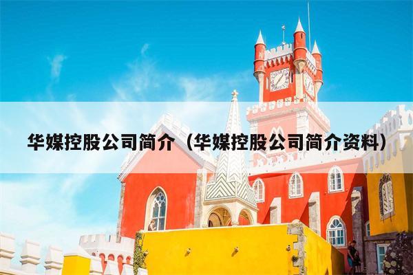 华媒控股公司简介（华媒控股公司简介资料）