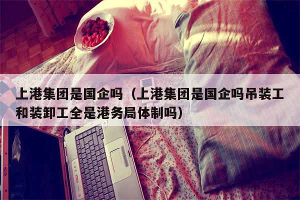 上港集团是国企吗（上港集团是国企吗吊装工和装卸工全是港务局体制吗）
