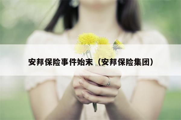 安邦保险事件始末（安邦保险集团）