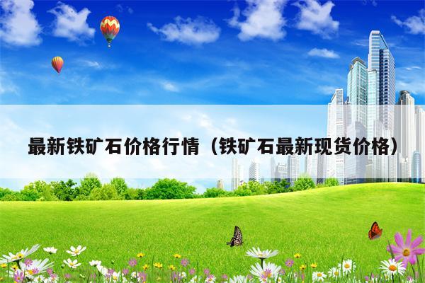 最新铁矿石价格行情（铁矿石最新现货价格）