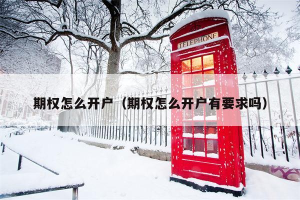 期权怎么开户（期权怎么开户有要求吗）