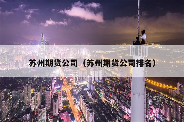 苏州期货公司（苏州期货公司排名）