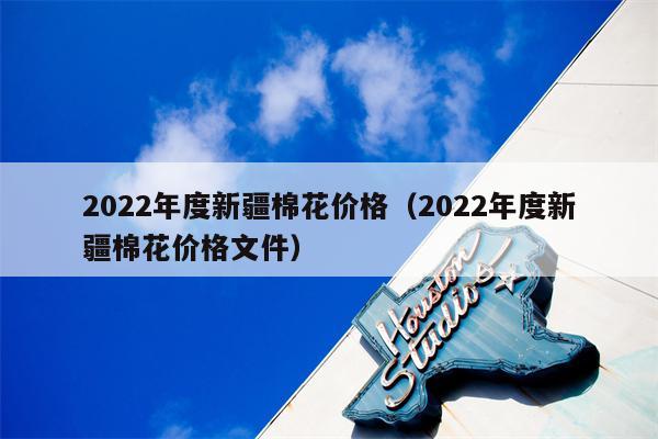2022年度新疆棉花价格（2022年度新疆棉花价格文件）