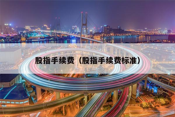 股指手续费（股指手续费标准）