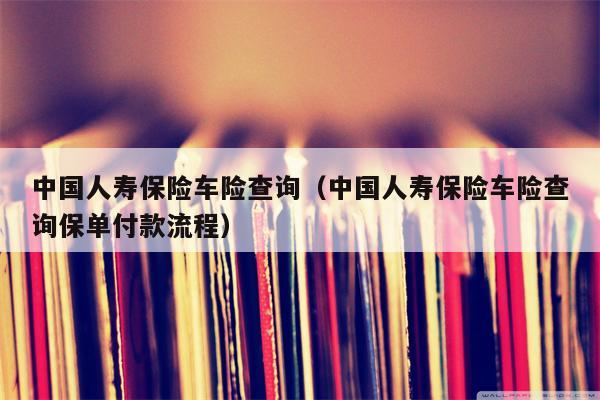 中国人寿保险车险查询（中国人寿保险车险查询保单付款流程）