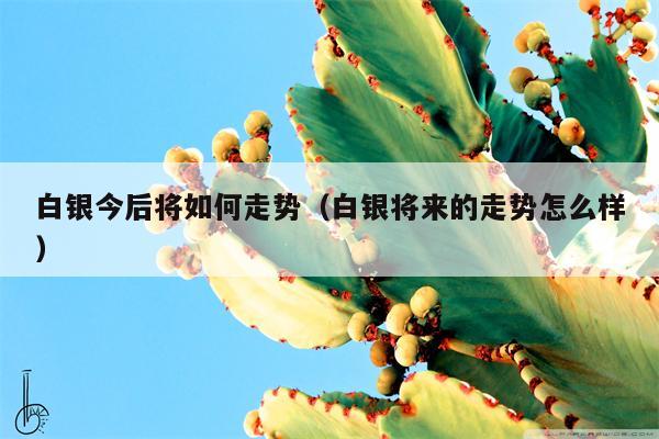 白银今后将如何走势（白银将来的走势怎么样）