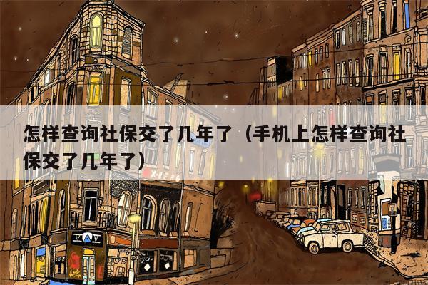 怎样查询社保交了几年了（手机上怎样查询社保交了几年了）