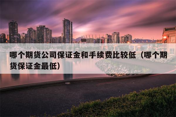 哪个期货公司保证金和手续费比较低（哪个期货保证金最低）