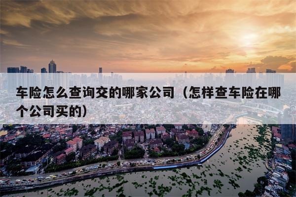 车险怎么查询交的哪家公司（怎样查车险在哪个公司买的）