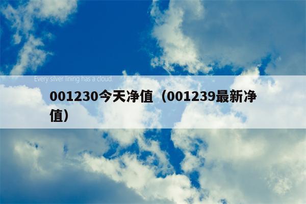 001230今天净值（001239最新净值）