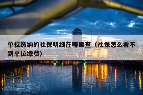单位缴纳的社保明细在哪里查（社保怎么看不到单位缴费）