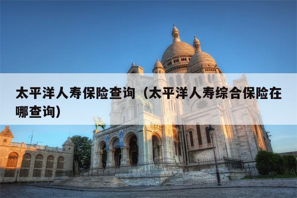 太平洋人寿保险查询（太平洋人寿综合保险在哪查询）