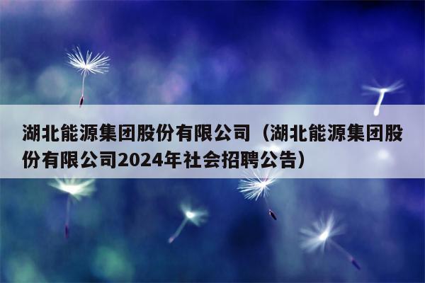 湖北能源集团股份有限公司（湖北能源集团股份有限公司2024年社会招聘公告）
