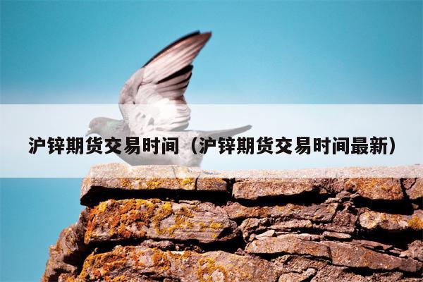 沪锌期货交易时间（沪锌期货交易时间最新）
