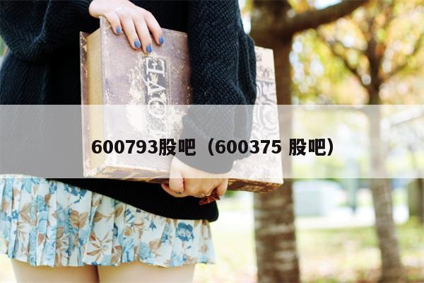 600793股吧（600375 股吧）