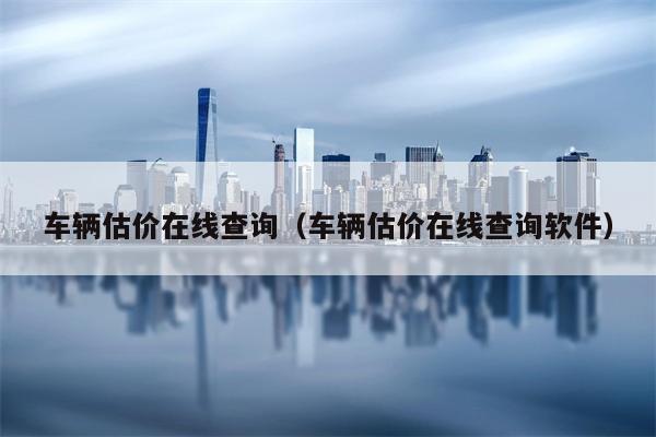 车辆估价在线查询（车辆估价在线查询软件）
