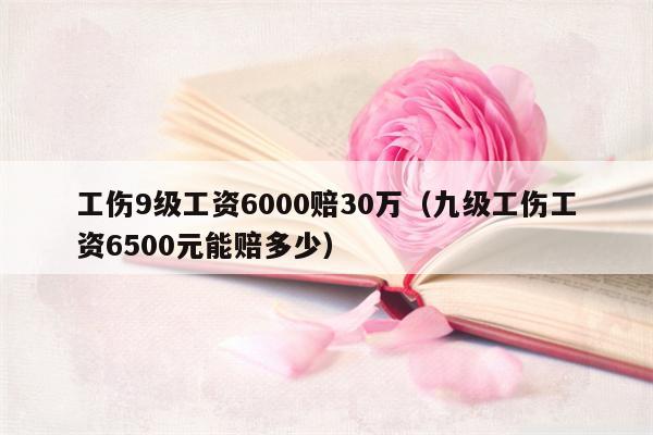 工伤9级工资6000赔30万（九级工伤工资6500元能赔多少）