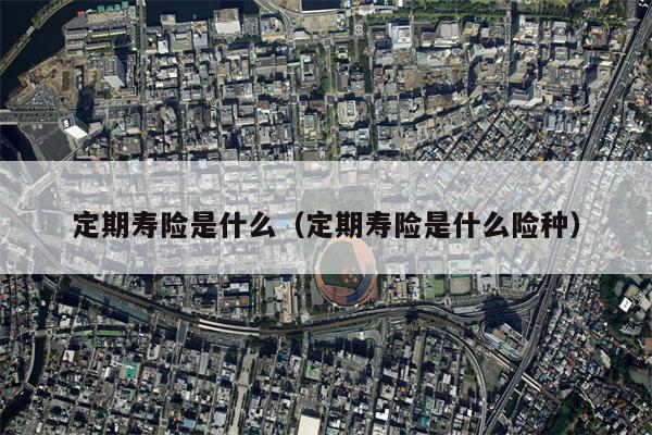 定期寿险是什么（定期寿险是什么险种）