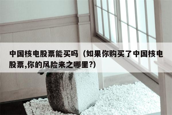 中国核电股票能买吗（如果你购买了中国核电股票,你的风险来之哪里?）
