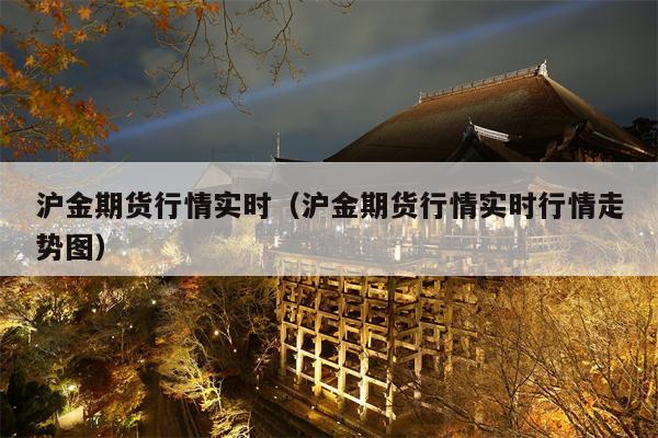 沪金期货行情实时（沪金期货行情实时行情走势图）