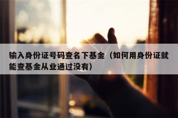 输入身份证号码查名下基金（如何用身份证就能查基金从业通过没有）