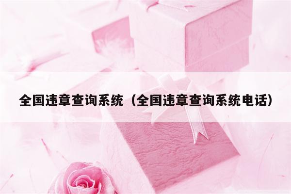 全国违章查询系统（全国违章查询系统电话）