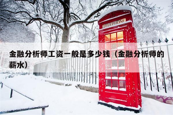 金融分析师工资一般是多少钱（金融分析师的薪水）