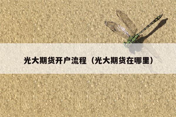 光大期货开户流程（光大期货在哪里）