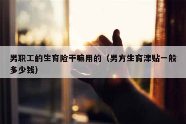 男职工的生育险干嘛用的（男方生育津贴一般多少钱）