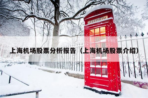 上海机场股票分析报告（上海机场股票介绍）