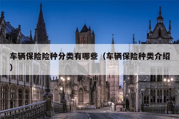 车辆保险险种分类有哪些（车辆保险种类介绍）