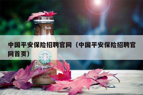 中国平安保险招聘官网（中国平安保险招聘官网首页）