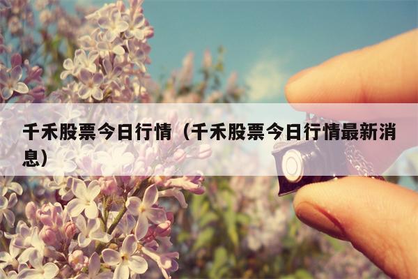 千禾股票今日行情（千禾股票今日行情最新消息）