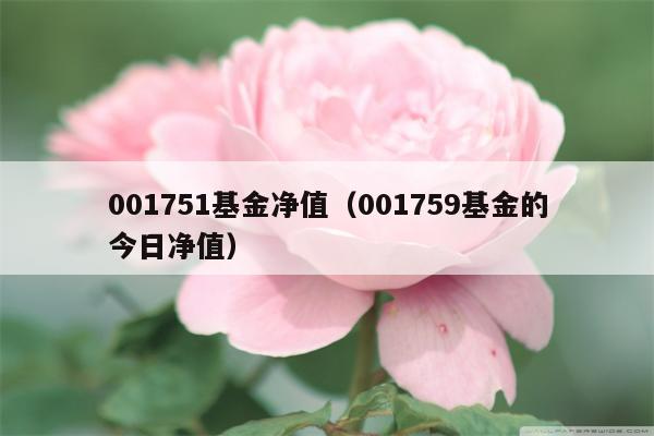 001751基金净值（001759基金的今日净值）