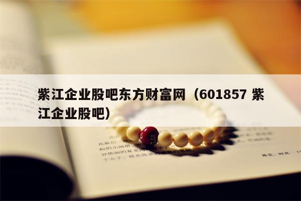 紫江企业股吧东方财富网（601857 紫江企业股吧）