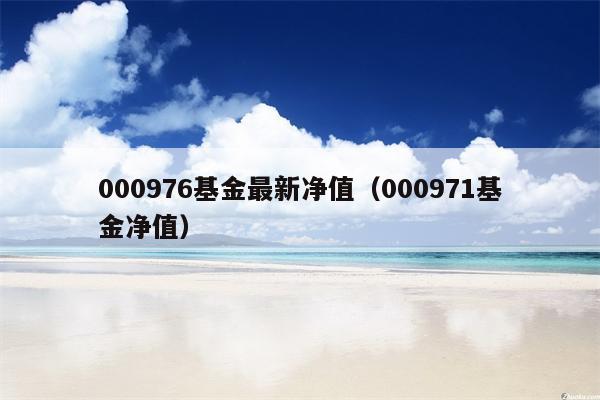 000976基金最新净值（000971基金净值）