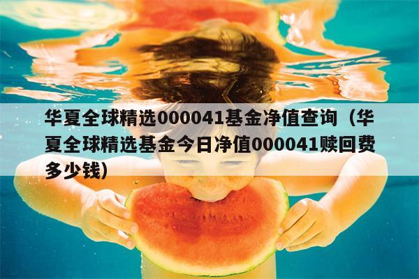 华夏全球精选000041基金净值查询（华夏全球精选基金今日净值000041赎回费多少钱）