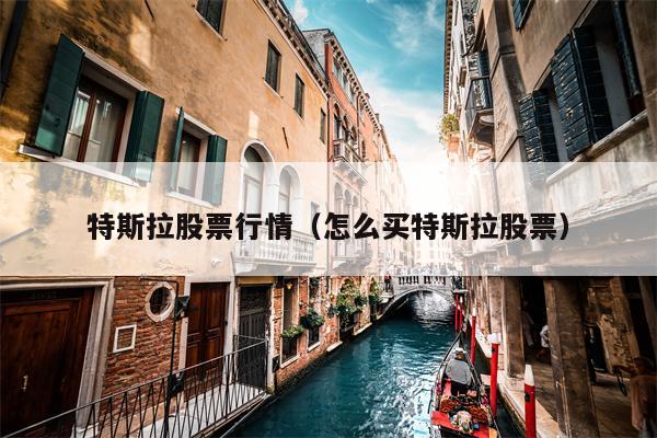 特斯拉股票行情（怎么买特斯拉股票）