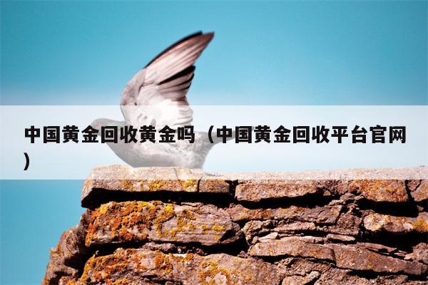 中国黄金回收黄金吗（中国黄金回收平台官网）