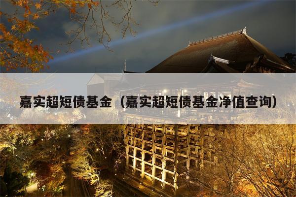 嘉实超短债基金（嘉实超短债基金净值查询）