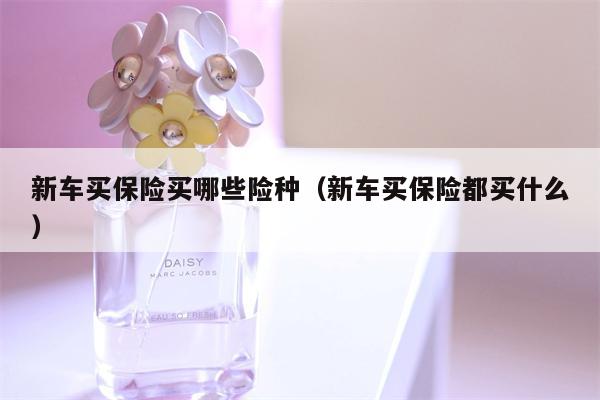 新车买保险买哪些险种（新车买保险都买什么）