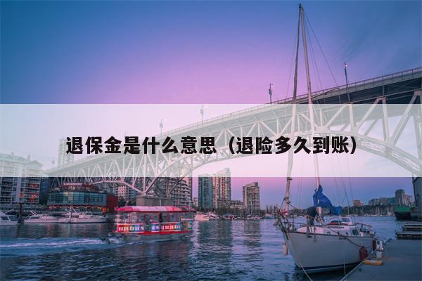 退保金是什么意思（退险多久到账）