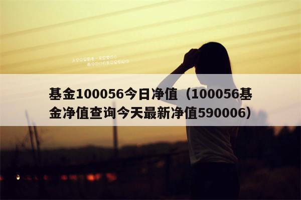 基金100056今日净值（100056基金净值查询今天最新净值590006）
