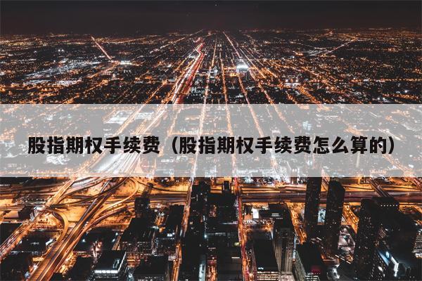 股指期权手续费（股指期权手续费怎么算的）
