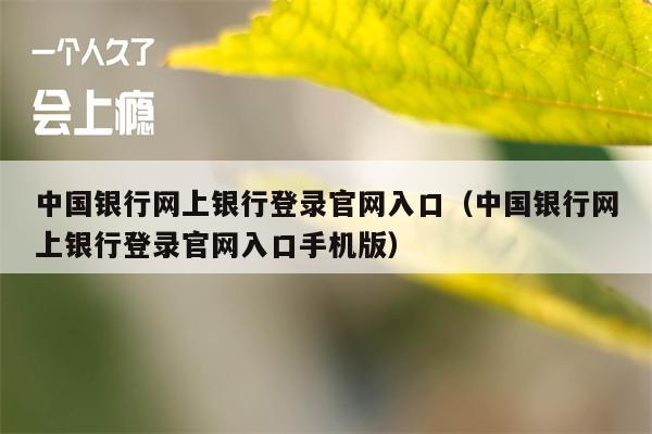 中国银行网上银行登录官网入口（中国银行网上银行登录官网入口手机版）