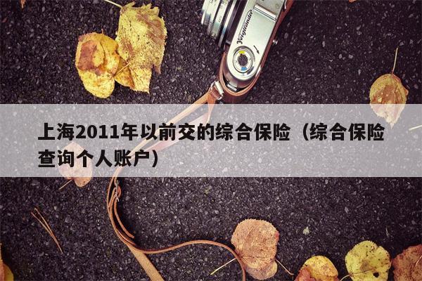 上海2011年以前交的综合保险（综合保险查询个人账户）