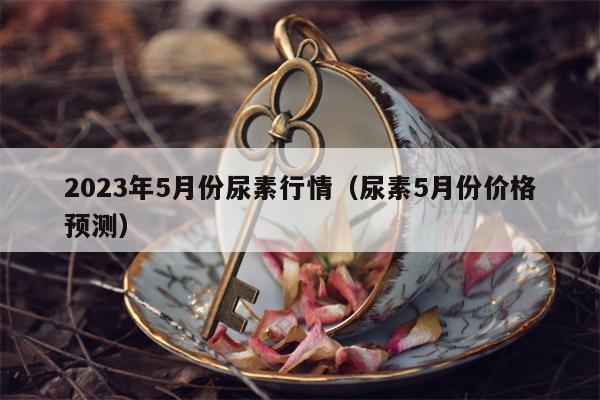 2023年5月份尿素行情（尿素5月份价格预测）