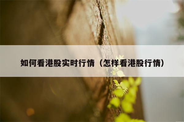 如何看港股实时行情（怎样看港股行情）