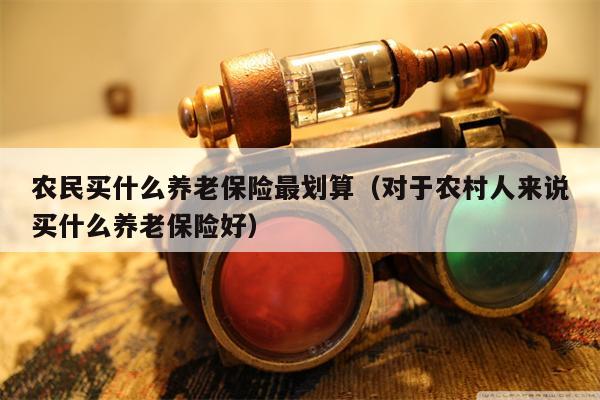 农民买什么养老保险最划算（对于农村人来说买什么养老保险好）